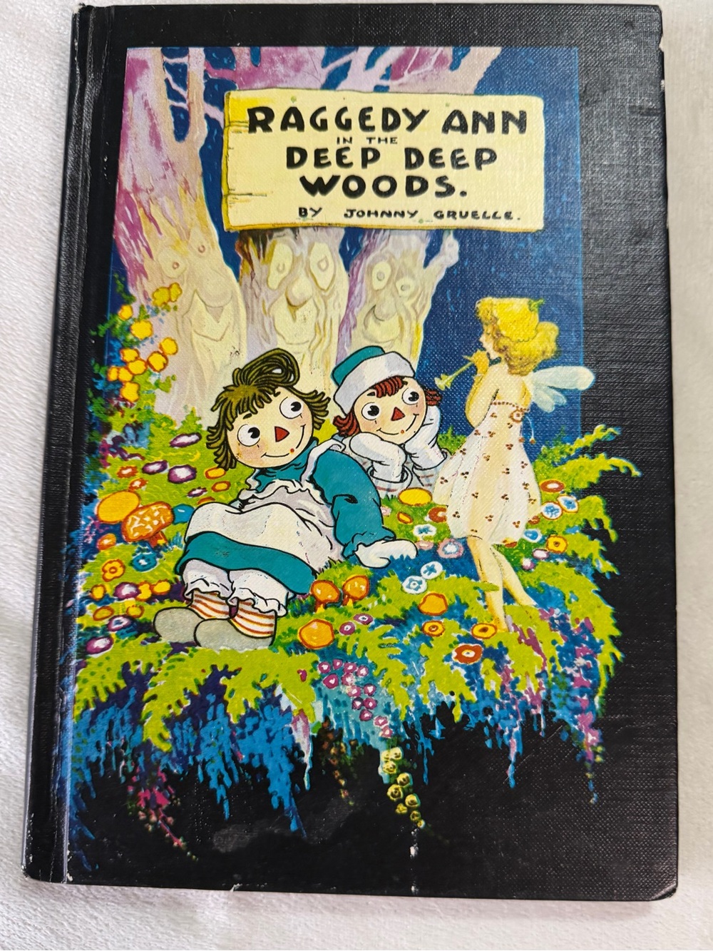 Raggedy Ann in the Deep Deep Woods Hardcover - Colorful Illustrated Cover